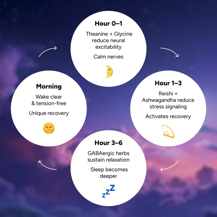 😌 Overnight Calm, Made Easy