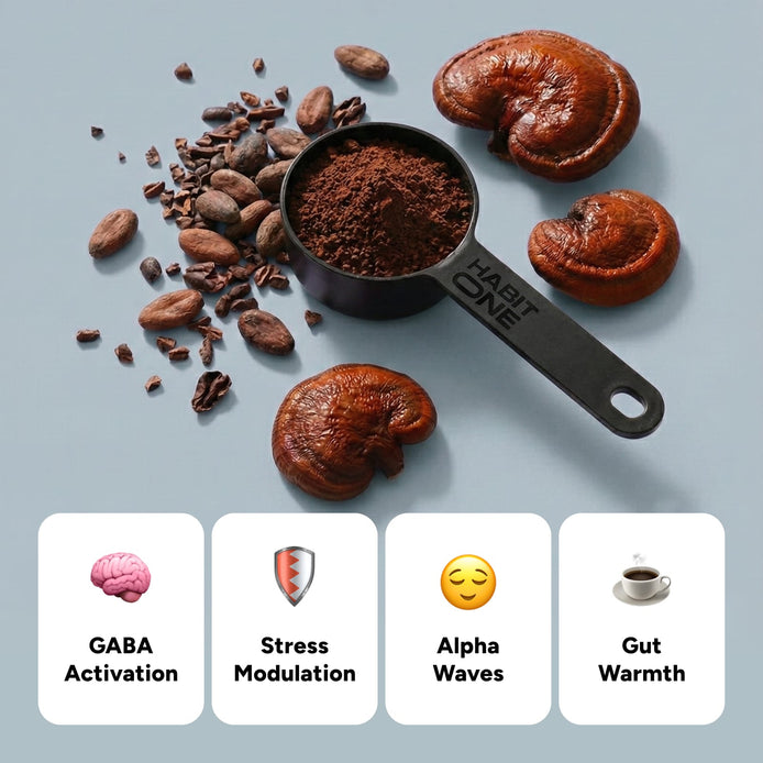 🍫 Relaxation in a Scoop