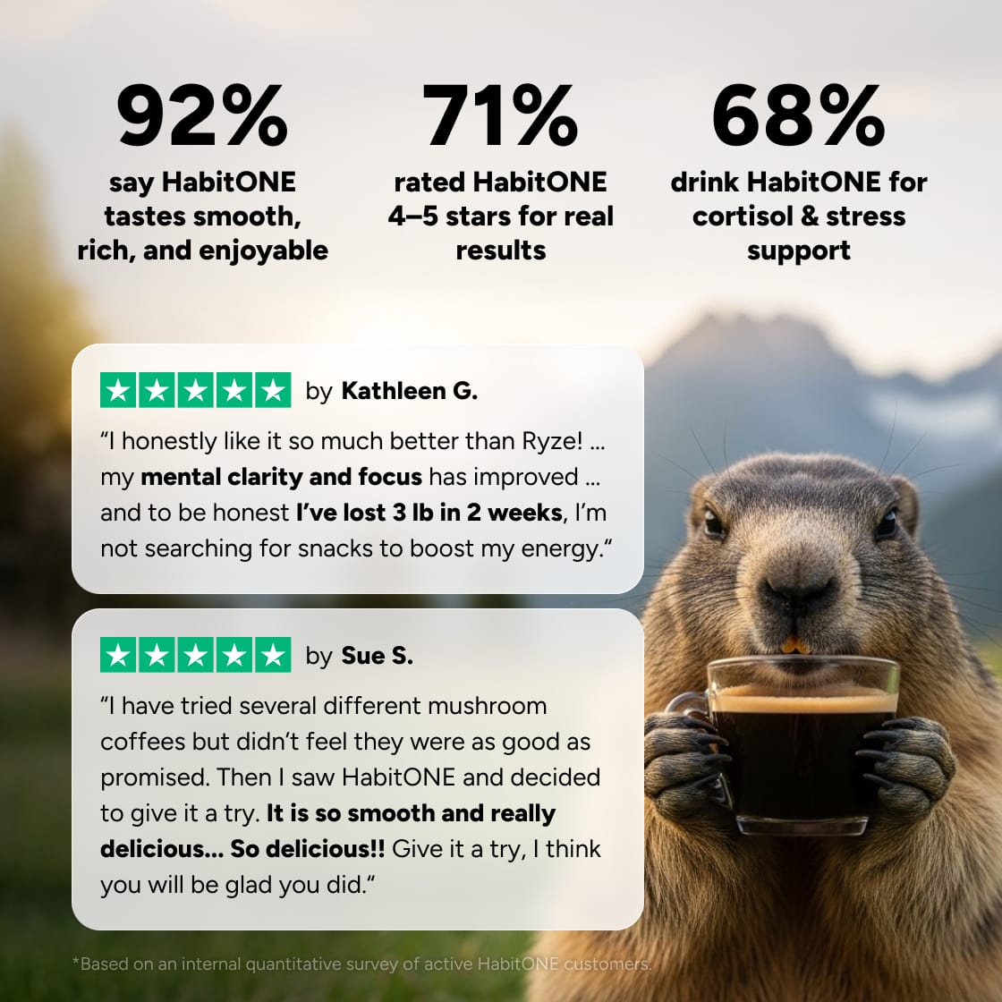 Magnesium Cocoa 47230677156095 photo 3