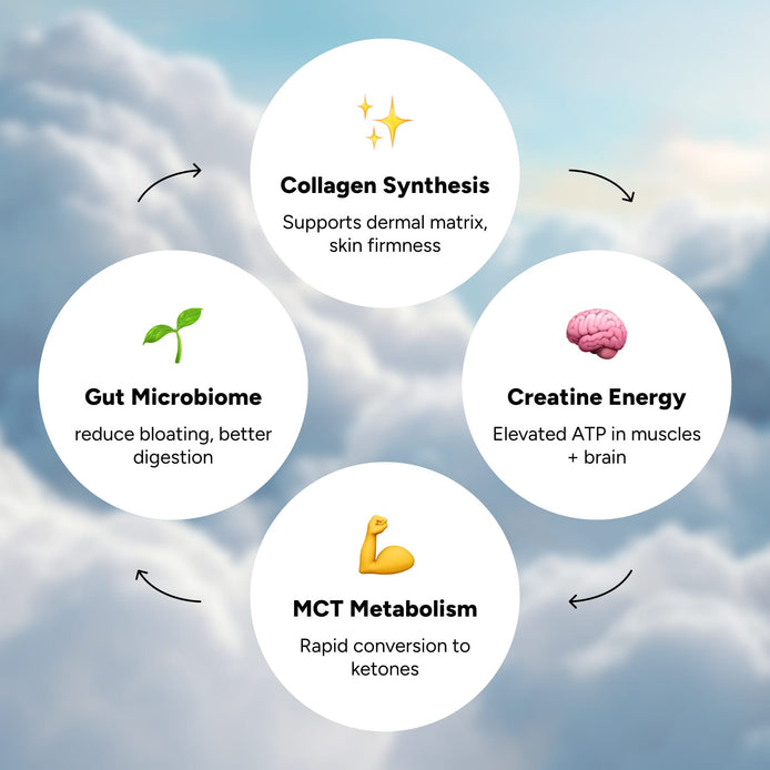 💪 Four Ways HabitONE Lifts You Up