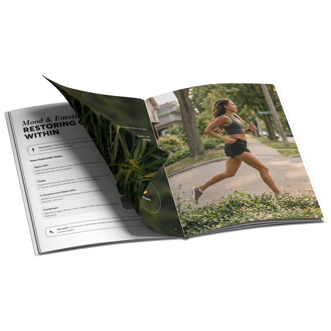 Cortisol Reset Guide  photo