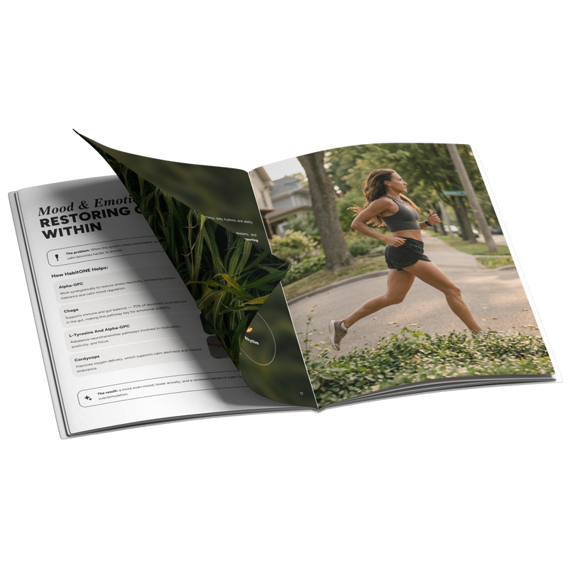 Cortisol Reset Guide