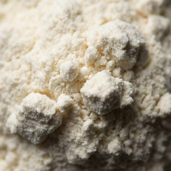 Premium Whey Protein