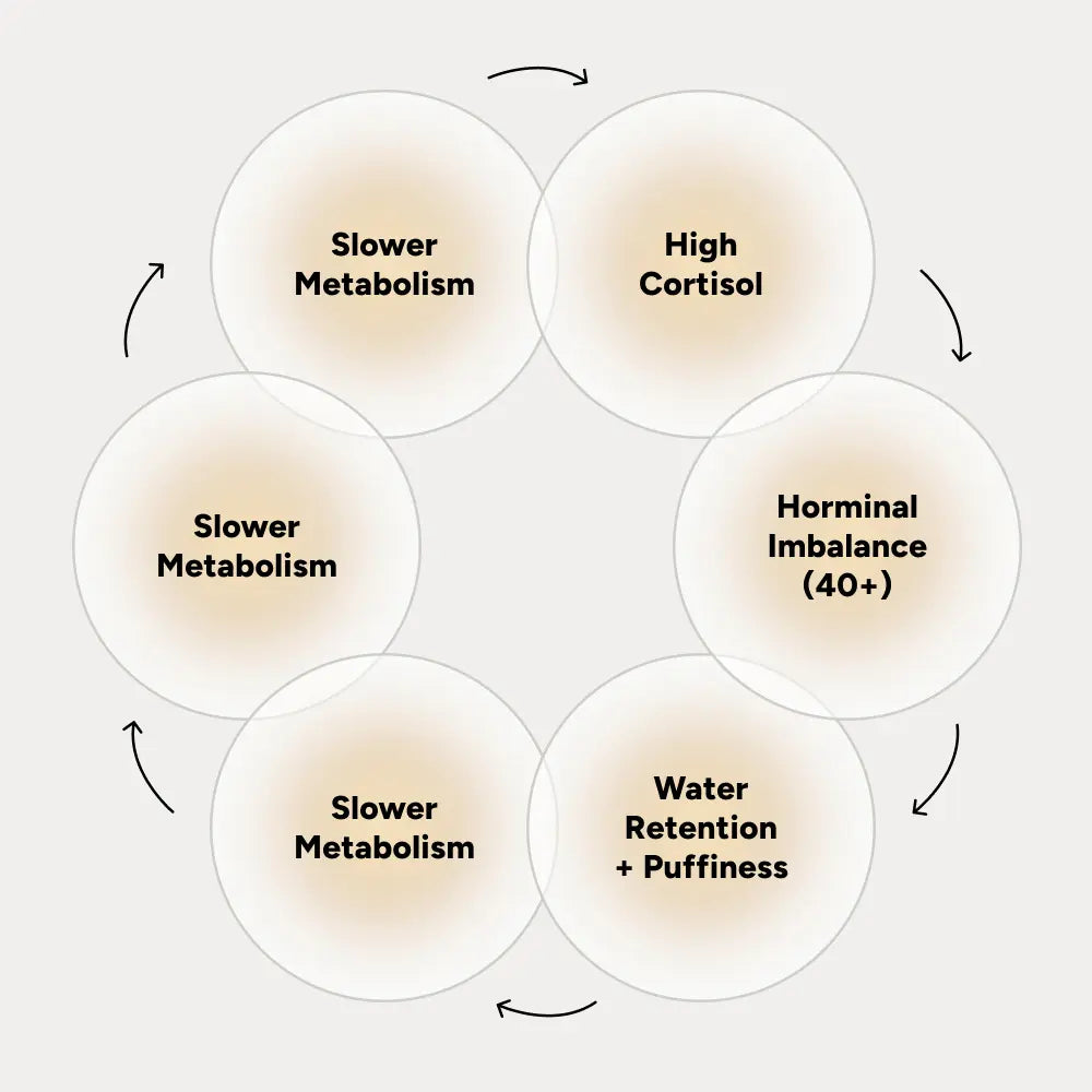 the cortisol rollercoaster cycle and how HabitONE helps