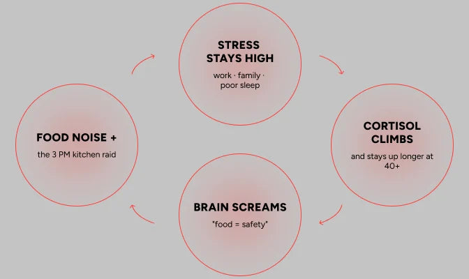 The cortisol loop: stress stays high, cortisol climbs, brain screams food = safety, food noise + the 3 PM raid