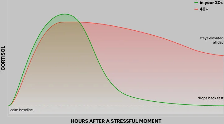 Cortisol response curve: in your 20s it drops back fast; at 40+ it stays elevated all day