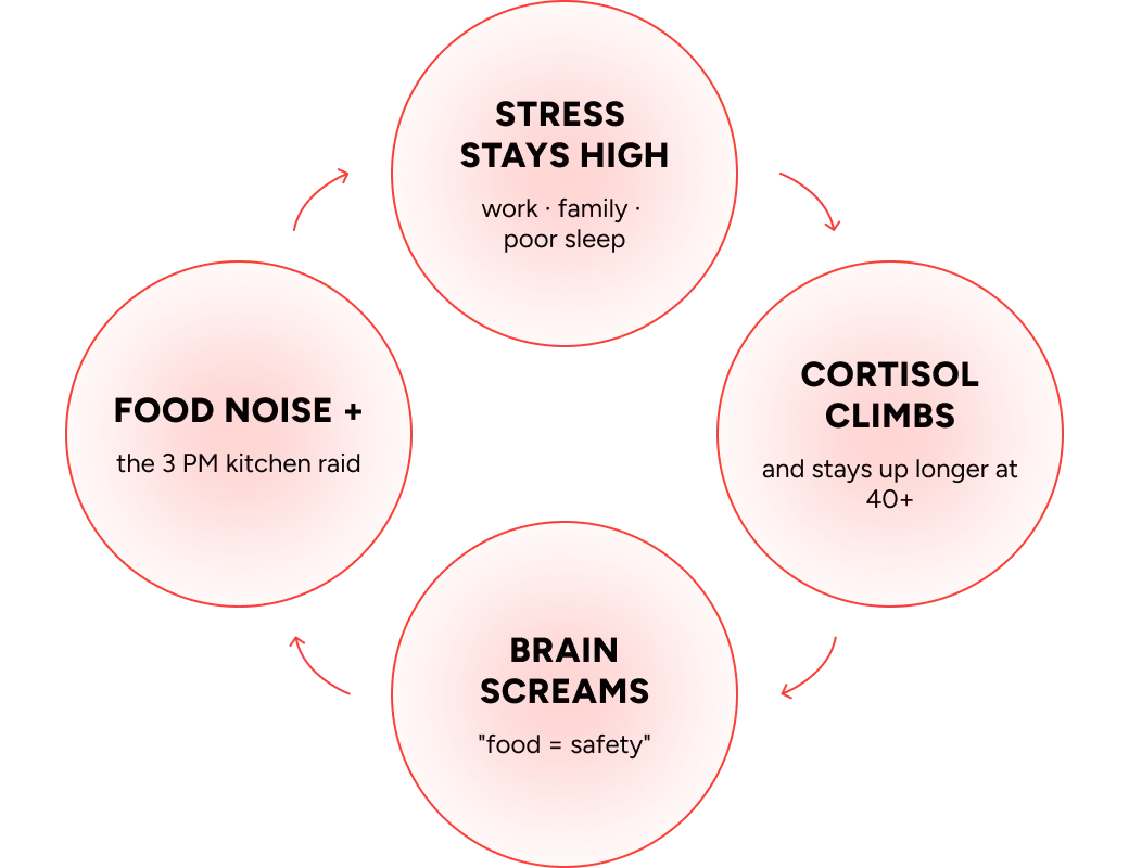 The stress → cortisol → cravings loop