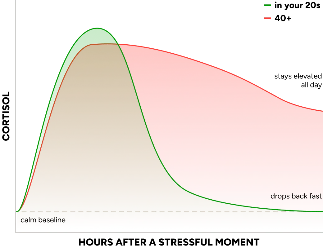 Cortisol curve: in your 20s vs. 40+