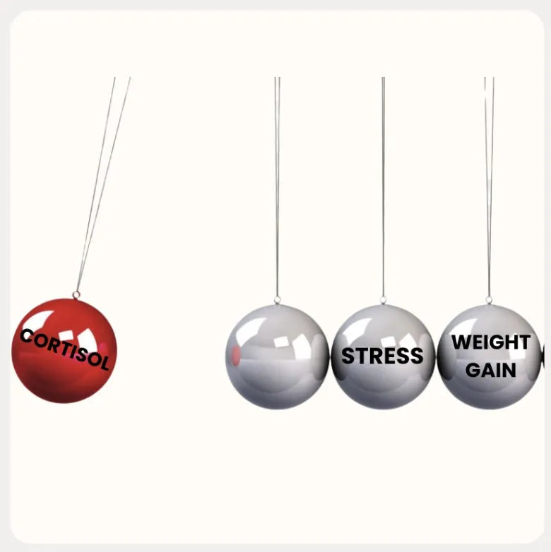 Cortisol, stress and weight gain pendulum