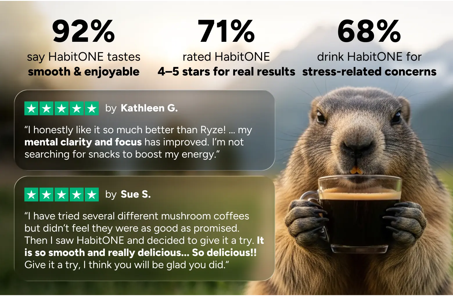 HabitONE Protein Coffee